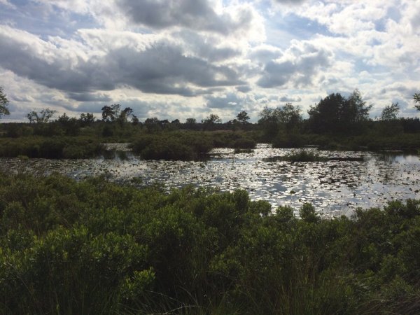 Malpi, a beautiful natur protected nearby Borkel en Schaft, nice to walk or to bike